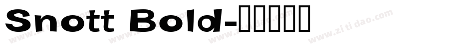 Snott Bold字体转换